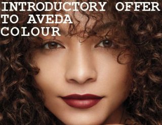 Introductory Offer to Aveda Colour