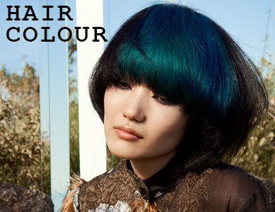 Hair Colour Hair Colour