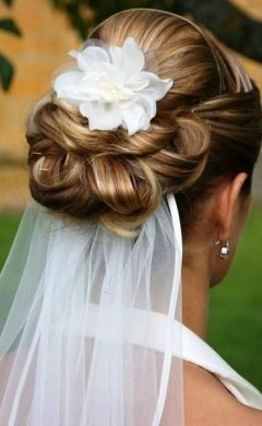 wedding upstyle with veil, Hale hair salon