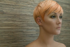 2013 Autumn/Winter Collection @ Hale Cheshire