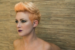 2013 Autumn/Winter Collection @ Hale Cheshire