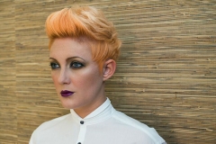 2013 Autumn/Winter Collection @ Hale Cheshire