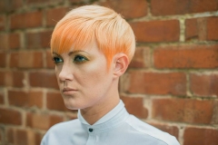 2013 Autumn/Winter Collection @ Hale Cheshire