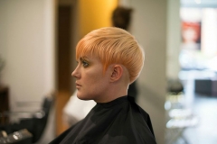 2013 Autumn/Winter Collection @ Hale Cheshire