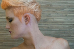 2013 Autumn/Winter Collection @ Hale Cheshire