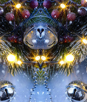 Christmas Opening Times